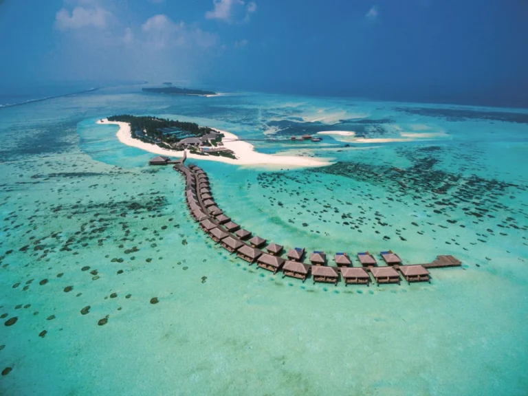 Cocoon Maldives Gallery Image