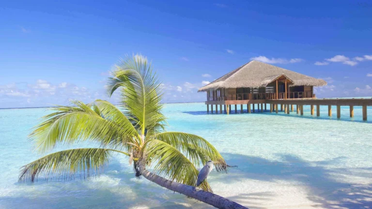 Medhufushi Island Resort Gallery Image
