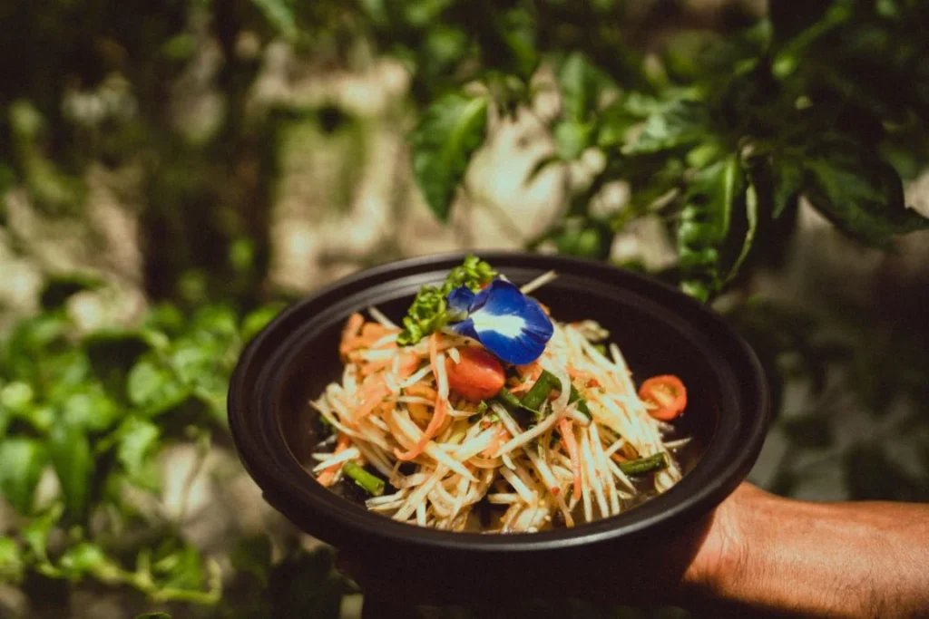 Badhige (Organic Garden)