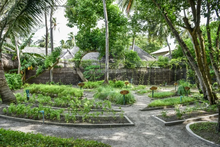 Adaaran Club Rannalhi Gallery Image