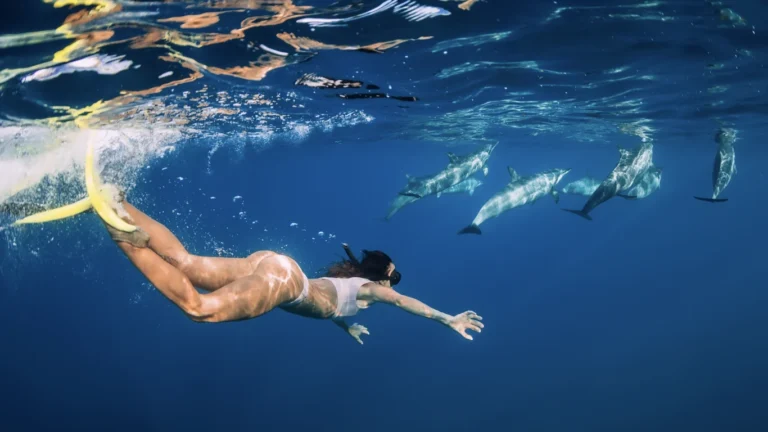 Kihaa Maldives Gallery Image