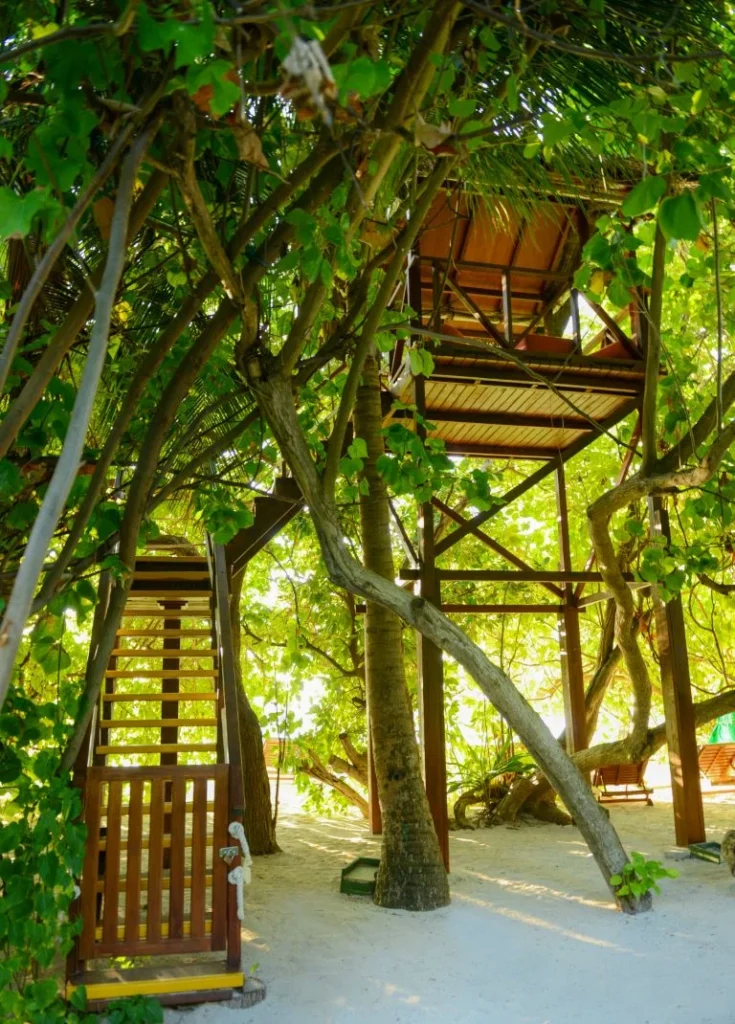 Tree House Dining