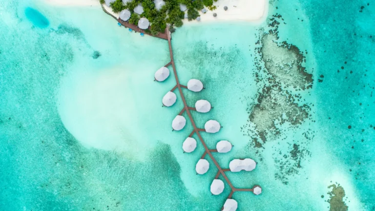 Kihaa Maldives Gallery Image