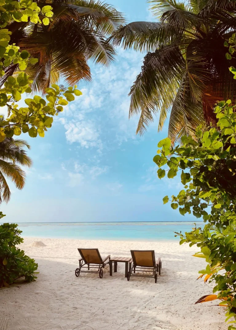 Cocoon Maldives Gallery Image