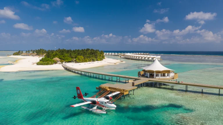 Cinnamon Hakuraa Huraa Gallery Image