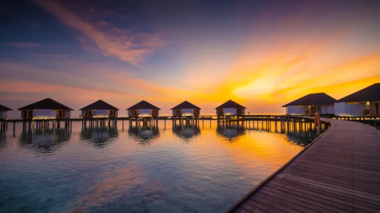 Ellaidhoo Maldives by Cinnamon Gallery Image