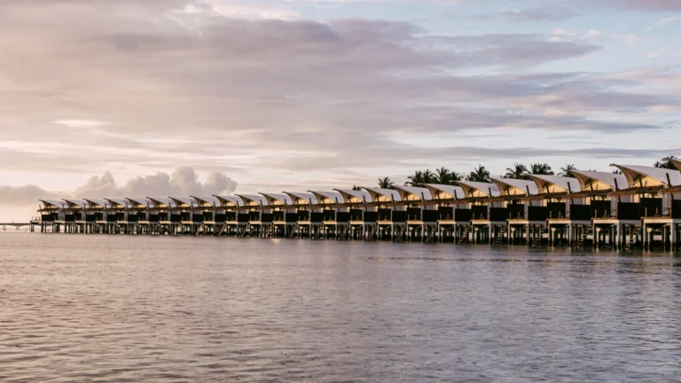 Cinnamon Hakuraa Huraa Gallery Image