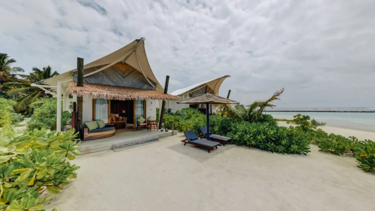 Cinnamon Hakuraa Huraa Gallery Image