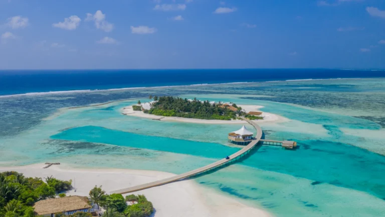 Cinnamon Hakuraa Huraa Gallery Image