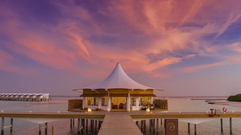 Cinnamon Hakuraa Huraa Gallery Image