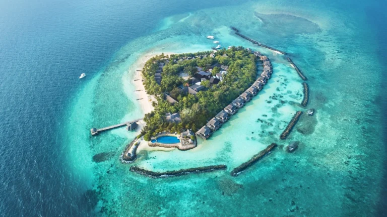 Taj Coral Reef Resort & Spa, Maldives Gallery Image