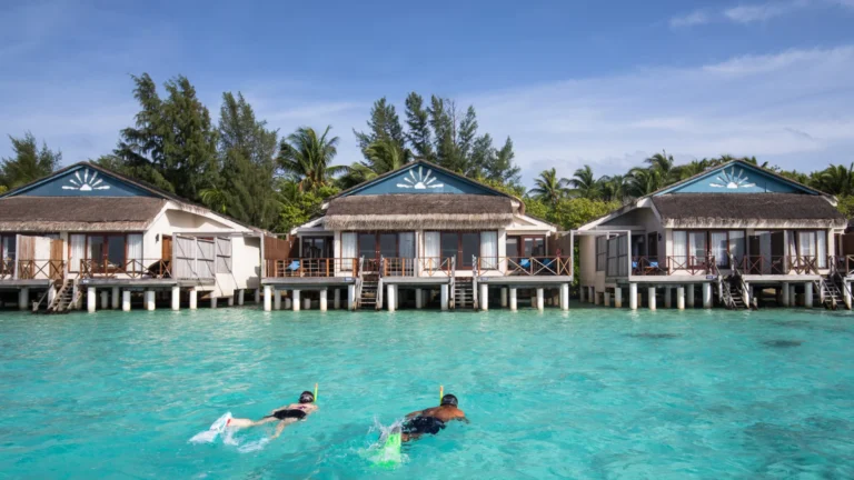 Taj Coral Reef Resort & Spa, Maldives Gallery Image