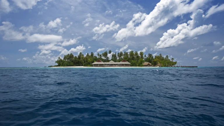 Malahini Kuda Bandos Gallery Image