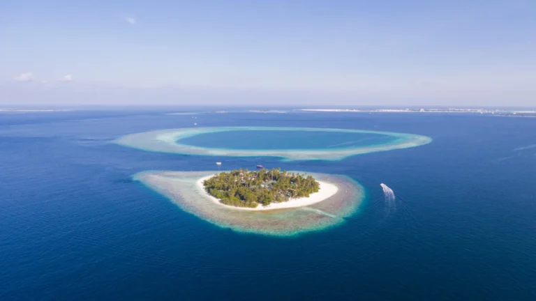 Malahini Kuda Bandos Gallery Image