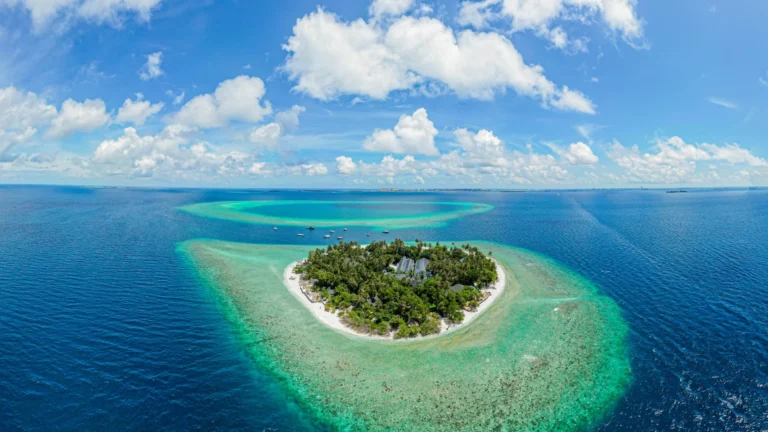 Malahini Kuda Bandos Gallery Image
