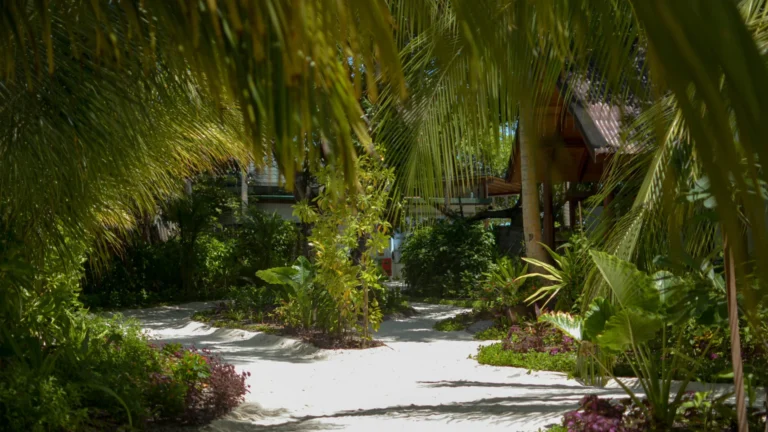 Malahini Kuda Bandos Gallery Image